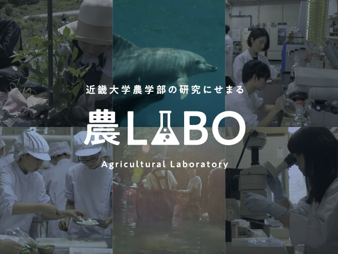 農LABO