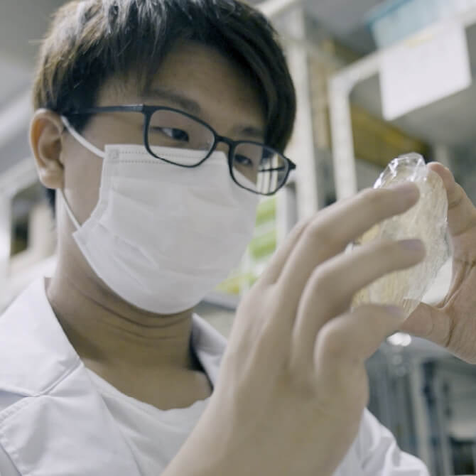 応用生命化学科／応用微生物学研究室副田 尚位