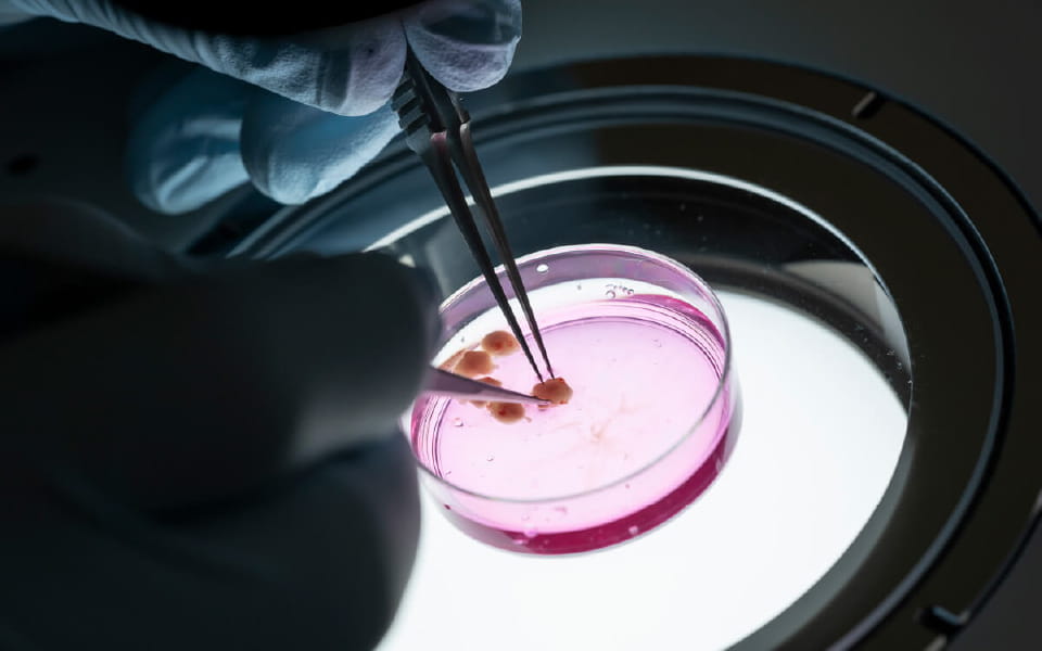 生物機能科学科の動画を再生する