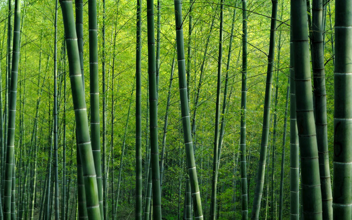 環境管理学科の動画を見る