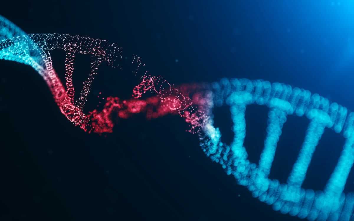 生物機能科学科の動画を見る