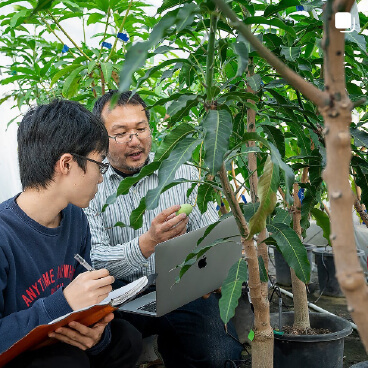 近畿大学 農学部