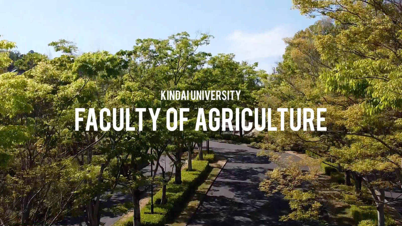 近畿大学農学部紹介動画を見る
