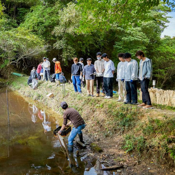 ビオトープ（「自然共生サイト」認定）