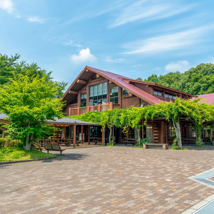 もりもり食堂（櫻月館）