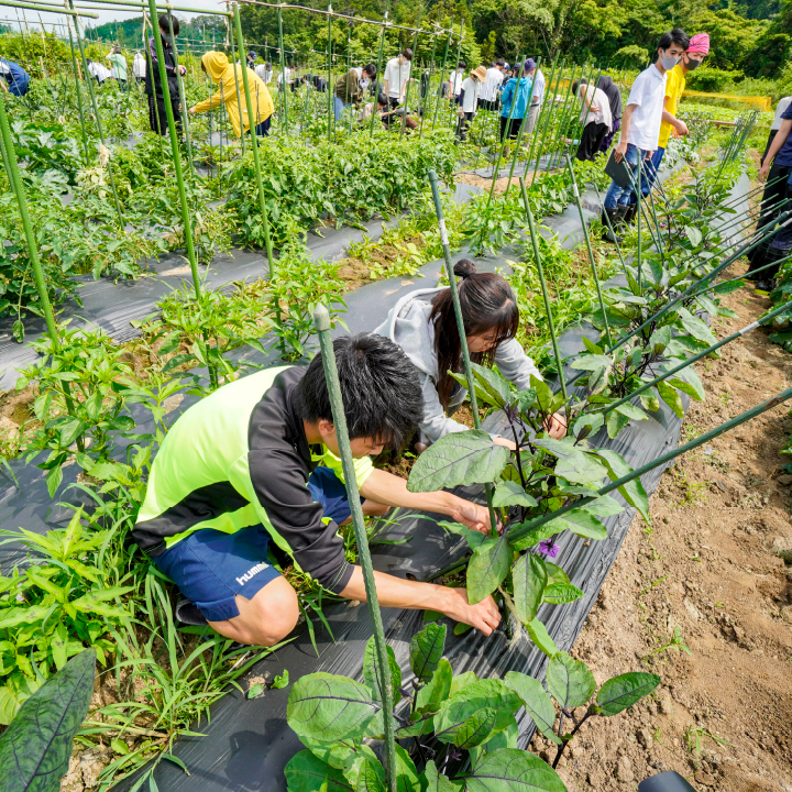 里山ものづくり村