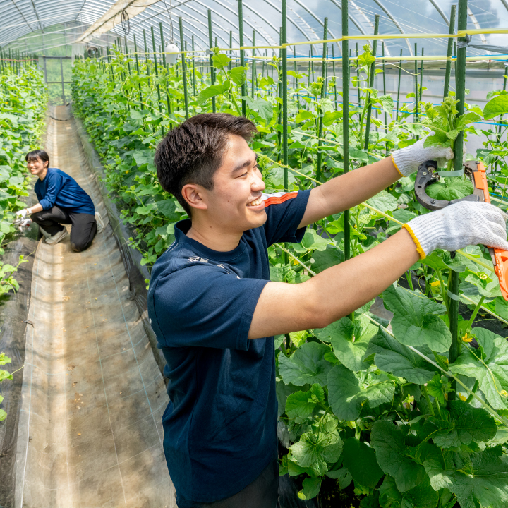 里山ものづくり村