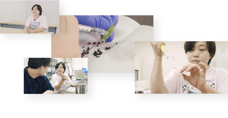 農学科の活動写真