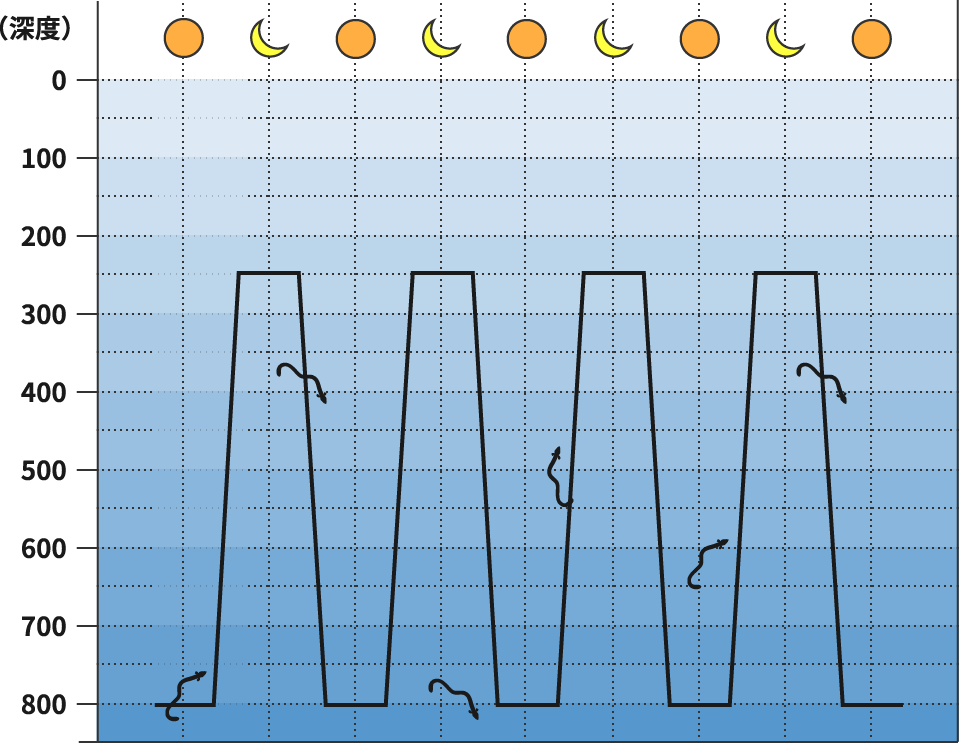 日周鉛直運動をするウナギの行動の深度の図