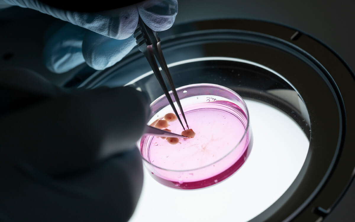 生物機能科学科