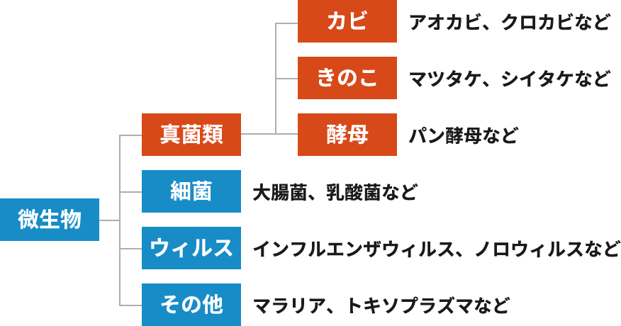 微生物の分類図