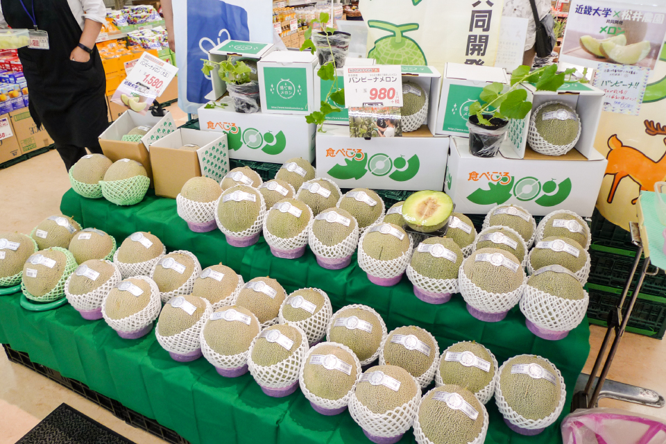 野々村 照雄 教授（近畿大学 農学部 植物感染制御工学研究室）