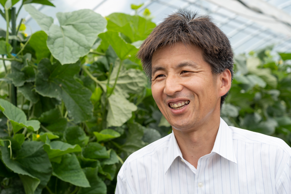 野々村 照雄 教授（近畿大学 農学部 植物感染制御工学研究室）