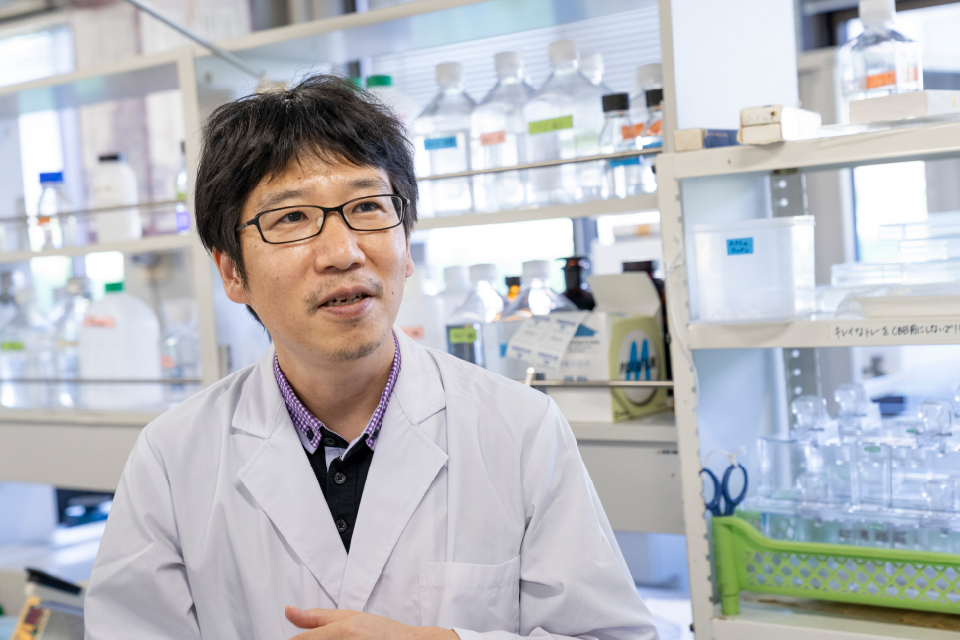 財満 信宏 教授(近畿大学 農学部 応用細胞生物学研究室)