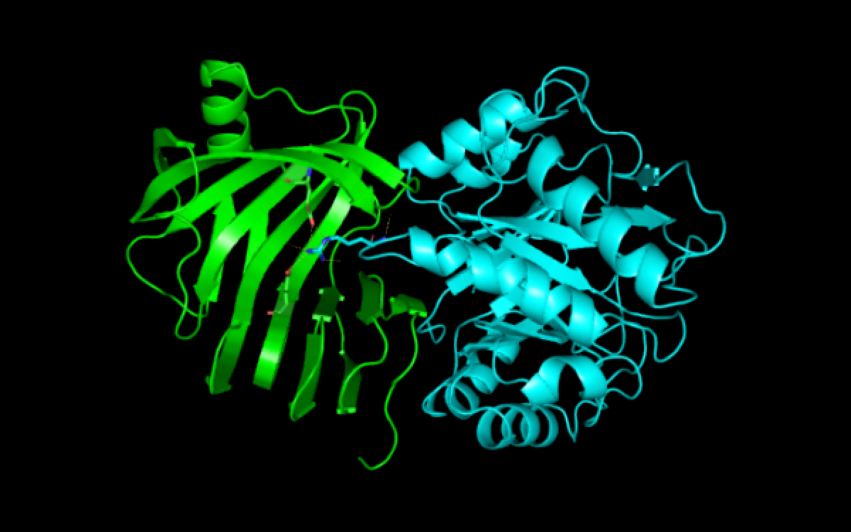 生物機能科学科