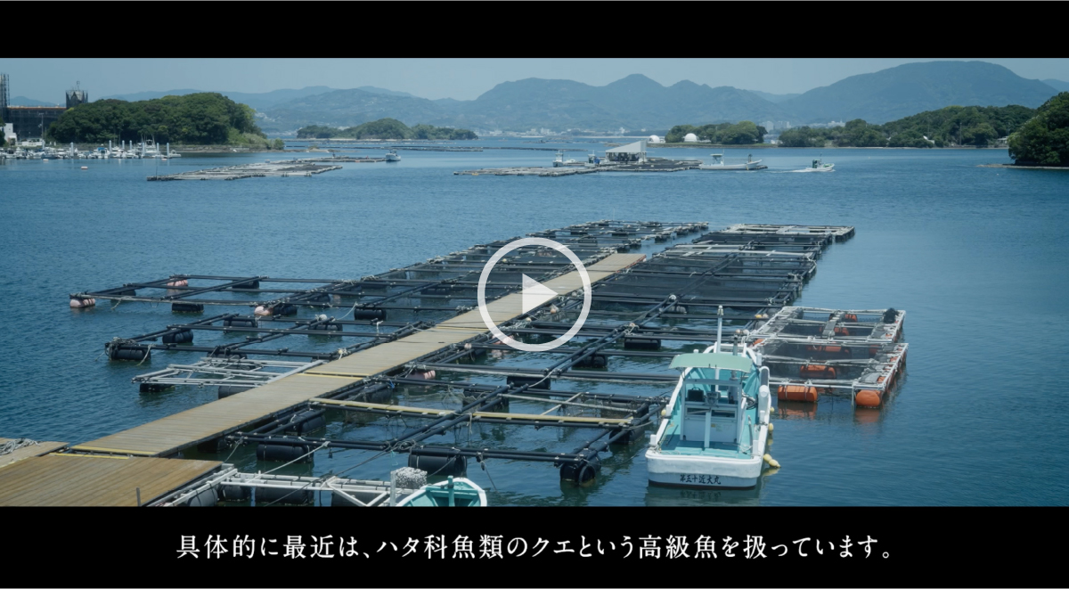 魚の性転換メカニズムを究明。性をコントロールし、種苗生産に役立てる。スクリーンショット