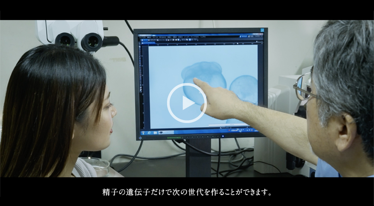 魚の品種改良と系統保存。染色体操作がつなぐ未来のカタチ。スクリーンショット