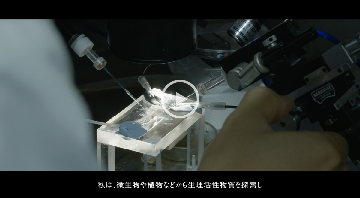 生理活性物質のメカニズムを追う。実験で解き明かす生命の鍵。スクリーンショット