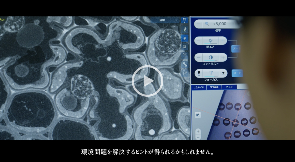 細胞の構造を“立体”で読み直す。三次元観察が開く新たな視点。スクリーンショット