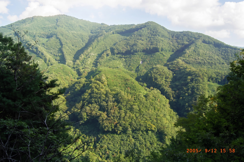 山の写真