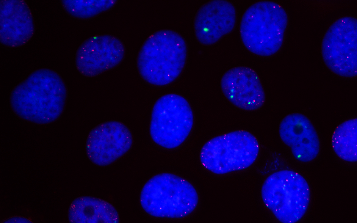 生物機能科学科
