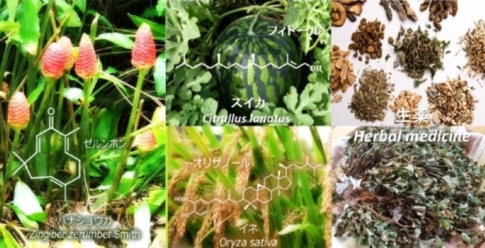近畿大学農学部 生物有機化学研究室