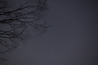 星