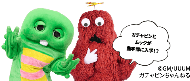 近畿大学農学部 オープンキャンパス22