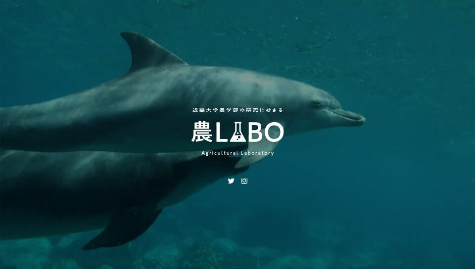 近畿大学農学部の研究にせまる 農LABO